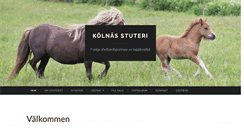Desktop Screenshot of kolnasstuteri.se